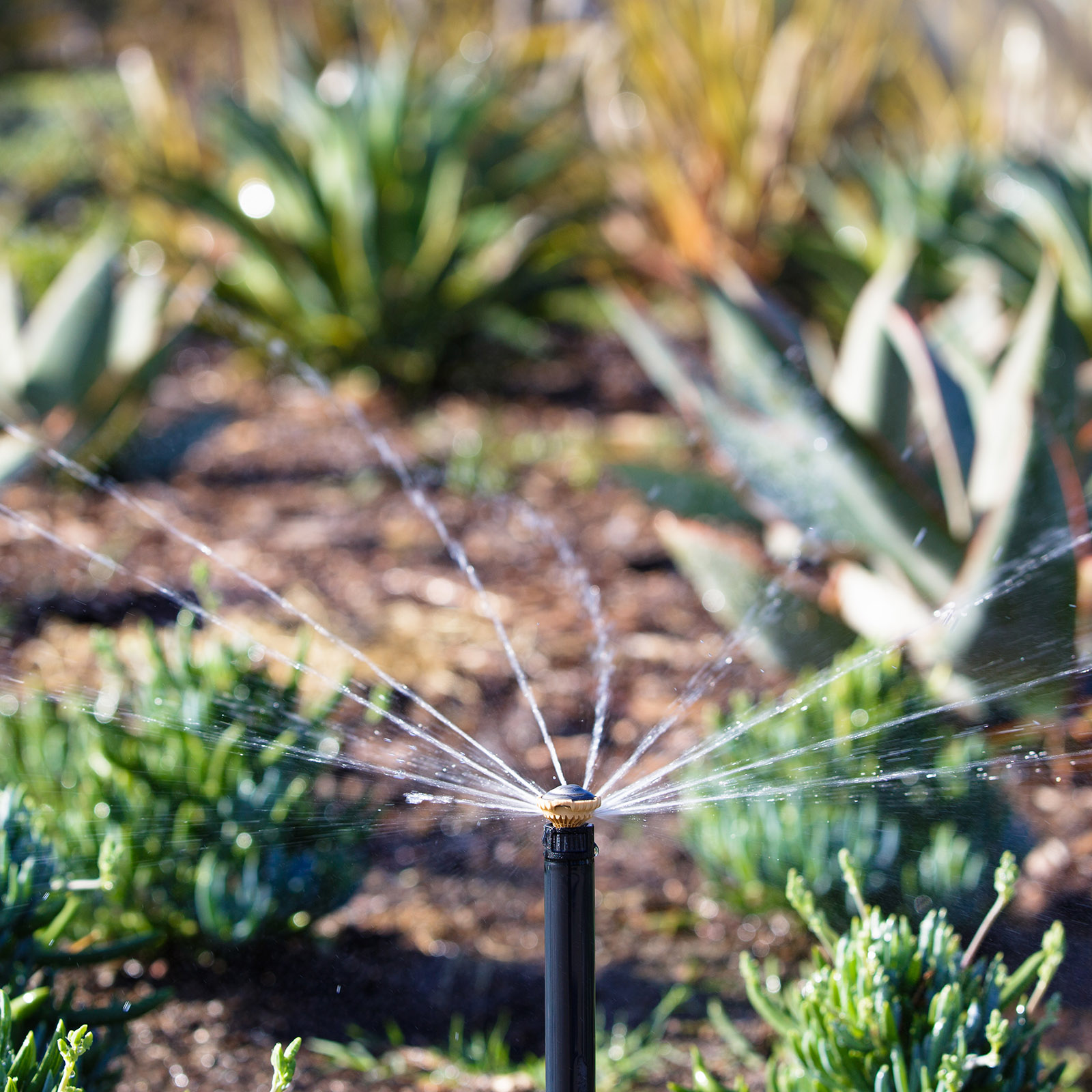 Rain Bird RVAN Rotary Sprinkler